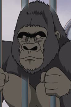 Gorilla