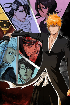 Okładka anime Bleach